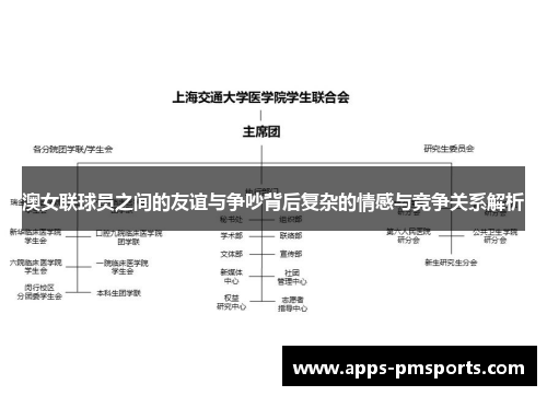 澳女联球员之间的友谊与争吵背后复杂的情感与竞争关系解析