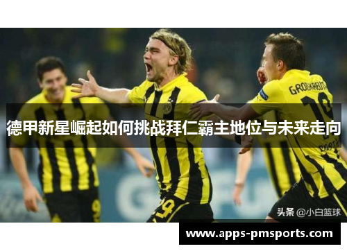 德甲新星崛起如何挑战拜仁霸主地位与未来走向