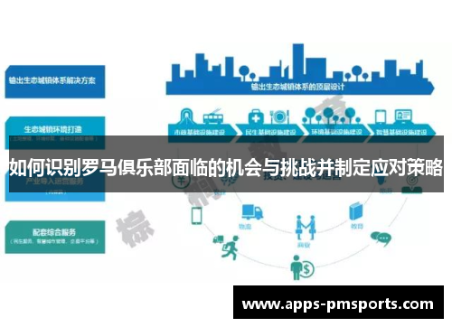 如何识别罗马俱乐部面临的机会与挑战并制定应对策略