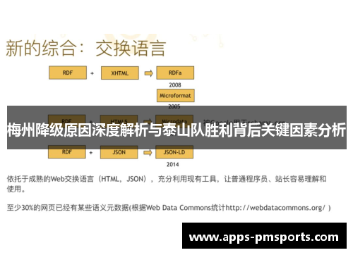 梅州降级原因深度解析与泰山队胜利背后关键因素分析