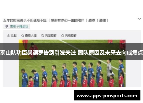 泰山队功臣桑德罗告别引发关注 离队原因及未来去向成焦点