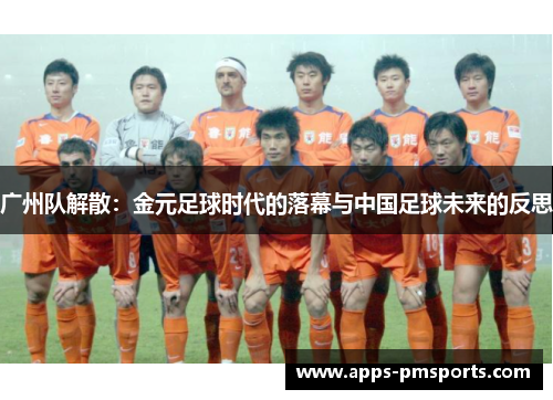 广州队解散：金元足球时代的落幕与中国足球未来的反思